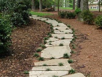 stepping stones with monkey grass